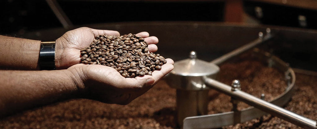 Sextant Coffee Roasters gallery